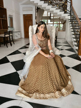 Olive brown lehenga set